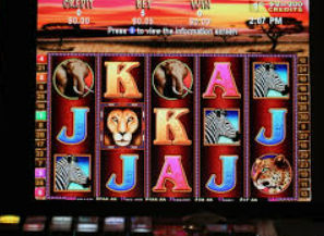 k·yun新网站登录下载app正式版